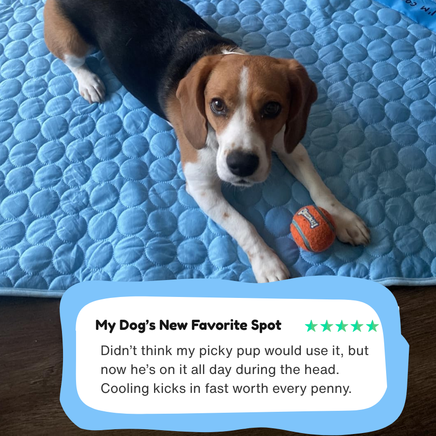 Alignex™ Dog Cooling Mat
