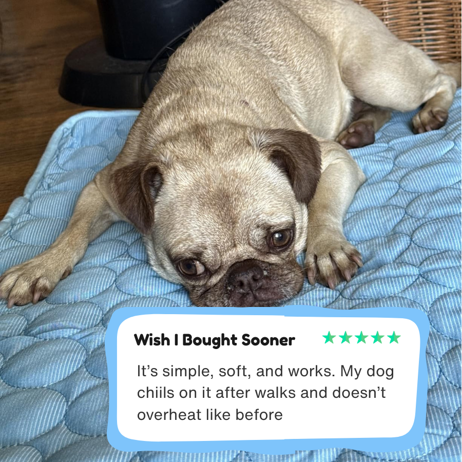 Alignex™ Dog Cooling Mat