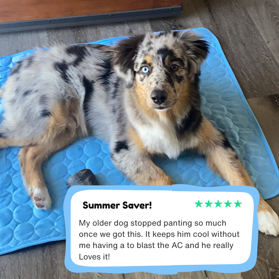 Alignex™ Dog Cooling Mat