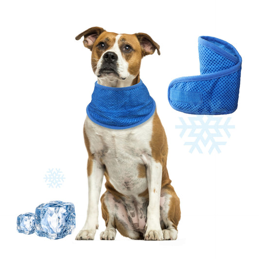Alignex Cooling Bandana